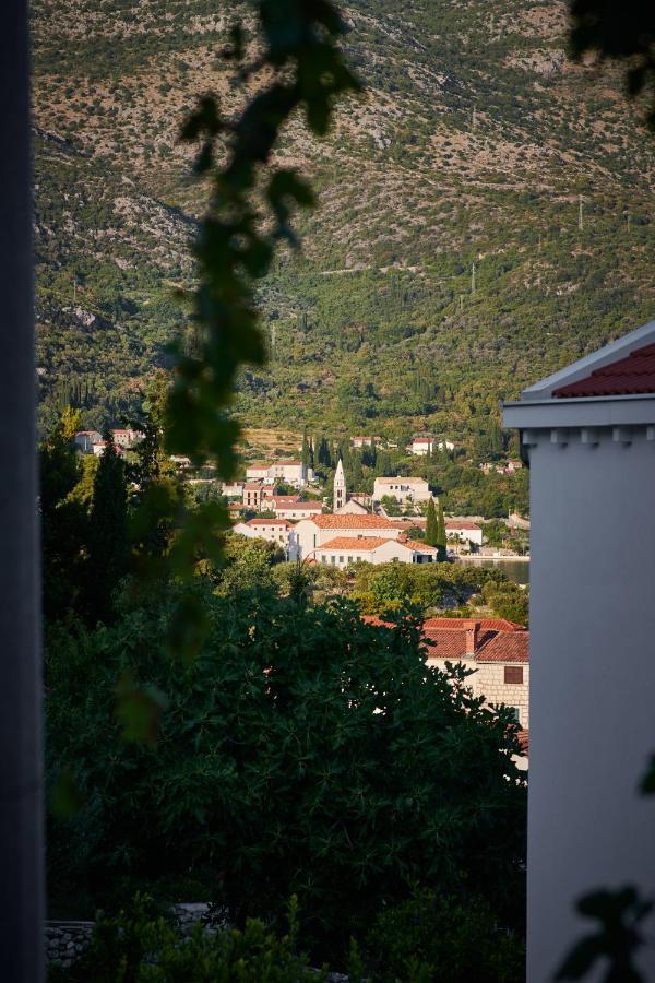 Villa Nika With Private Heated Pool Slano Dış mekan fotoğraf
